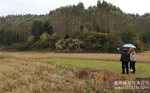 宿州市陈老师带着爱徒寻龙点穴